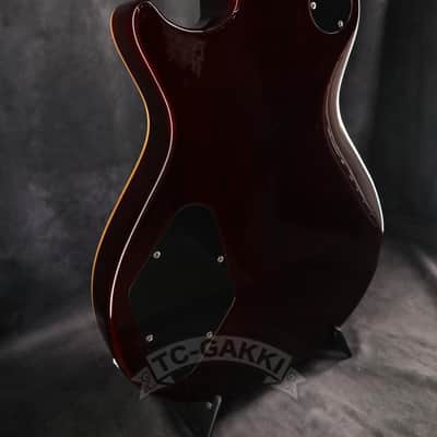 Paul Reed Smith SE 245 STANDARD image 9