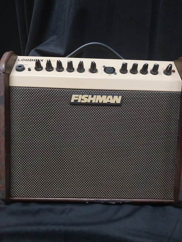 Fishman Loudbox Mini  LBX-500 - Brown image 1