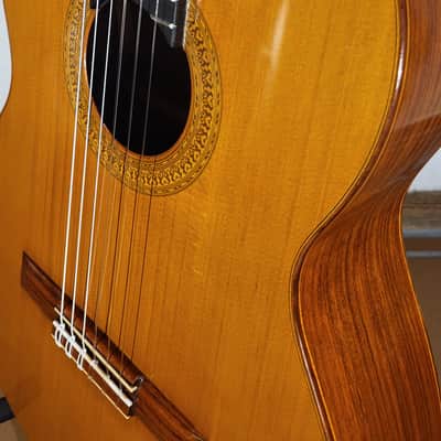 Vicente Sanchis (Luthier) 38 image 19