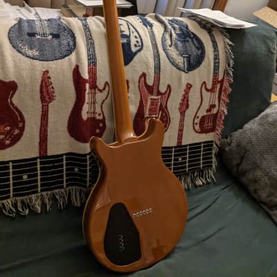 Hamer Duo Tone image 3
