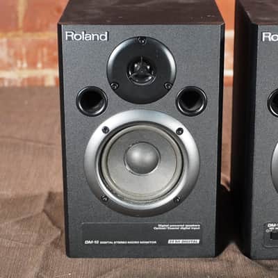 Roland DM-10 Stereo Monitors image 2
