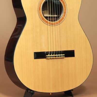 Ryosuke Kobayashi Guitars Nylon Crossover Electric Cocobolo | Reverb