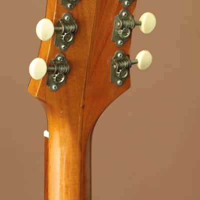 Epiphone ZENITH image 9