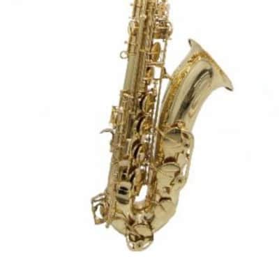 Oxford Eb Alto Saxophone – Student Alto Sax Outfit w/ Case, Mouthpiece & Reed image 2