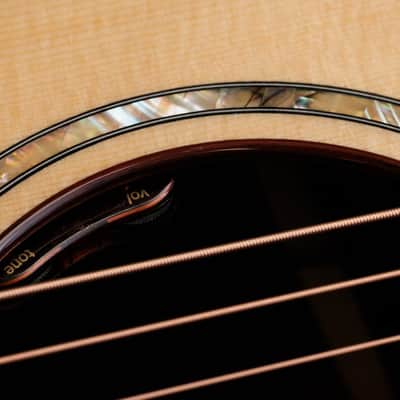 Taylor Legacy Collection 914ce Engelmann Spruce/Indian Rosewood Grand Auditorium Acoustic/Electric Guitar with Hardshell Case image 6
