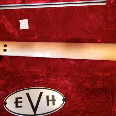 EVH Wolfgang Special 2010 Tobacco Sunburst image 15