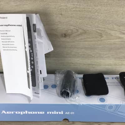 Roland Aerophone AE 01 image 11