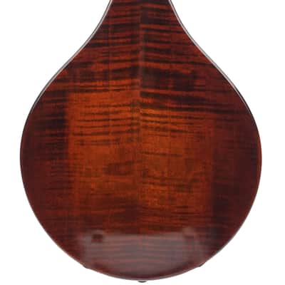 Eastman MD505CC/TV A Style Mandolin B-Stock image 7