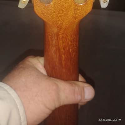 Gibson Chet Atkins 1981 - Natural image 4