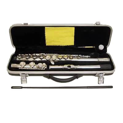 Nickel Plated C Foot Flute with hard case image 1