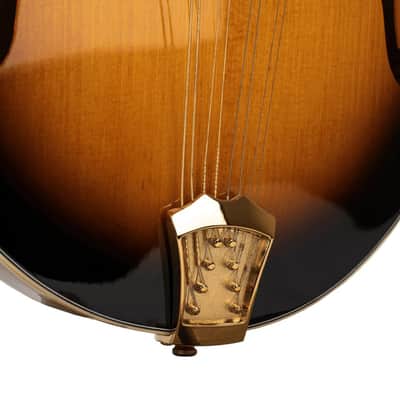 Gold Tone GM-70+ F-style mandolin - NEW Solid Wood w/ CASE image 11