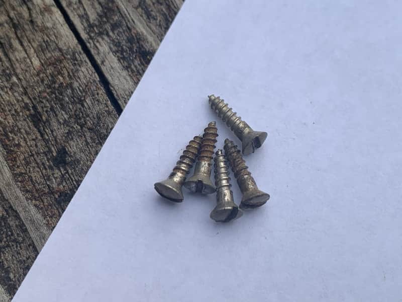 Fender Esquire Pickguard Screws 1951 image 1