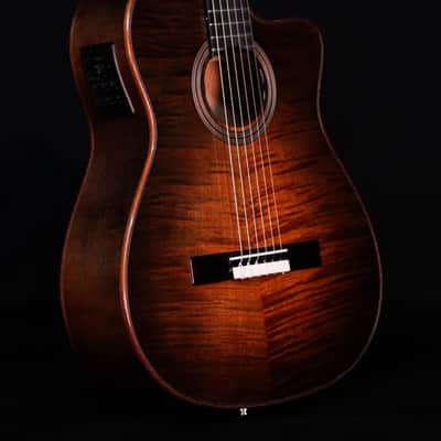 Cordoba Fusion 12 Cinnamon Burst Nylon String Guitar image 4