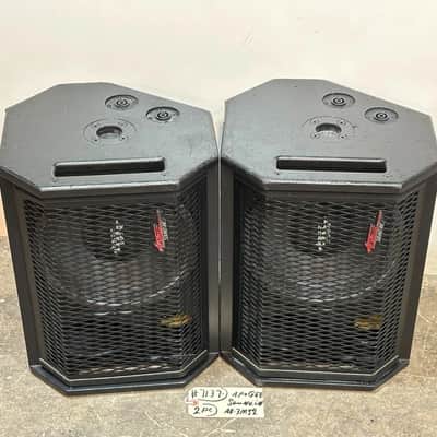 Apogee Sound AE-3Ms2 10" 2-Way Stage Monitor Loudspeaker #7137 (PAIR) THS image 14