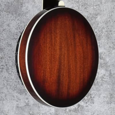 Gold Tone BG-250F Bluegrass 5-String Banjo with Flange 2010s - Vintage Brown image 7