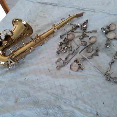 Ultra rare vintage curved Sopranino Saxophone Eb , hanmade sax Prof. Orsi Milano completely restored !!!!! image 16