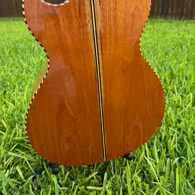 Gallardo Bajo Quinto - Mexican Rosewood Bajo Quinto 2026 - Mexican Rosewood (palo escrito) image 6