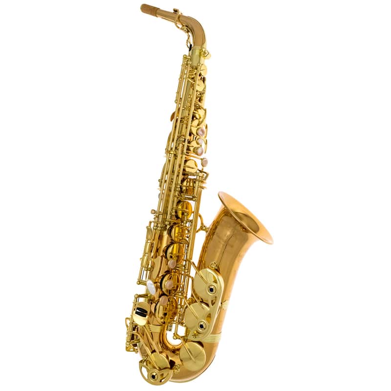 Yanagisawa Alto Sax - A-W020 Elite Model in Bronze