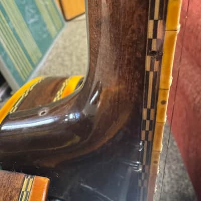 Ibanez Artist Banjo Tree of Life Model 593 1970s image 12