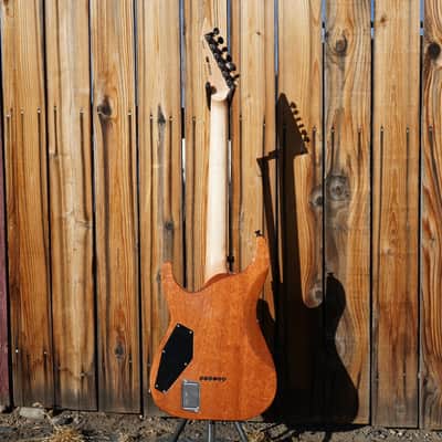 ESP USA Horizon-II Psychedelic Flame 6-String Electric Guitar w/ Black Tolex FF Case image 12