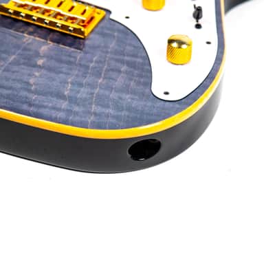 Vigier Excalibur Surfreter Fretless Electric Guitar Owned by Kiko Loureiro image 9