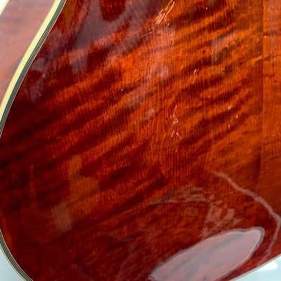 Eastman AR810CE – 2010 image 18