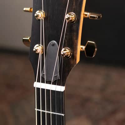 Taylor 224ce-K DLX Grand Auditorium Acoustic/Electric Guitar with Hardshell Case image 6