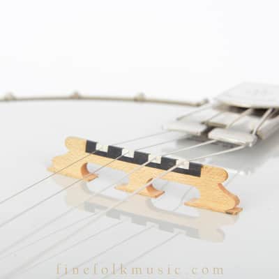 1923 VEGA PROFESSIONAL TENOR BANJO image 14