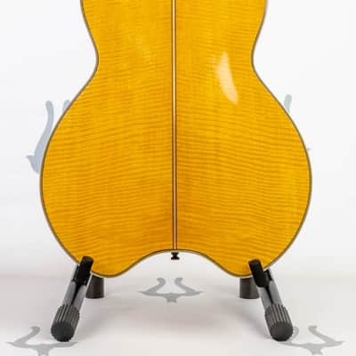 Daion The Year Series '81 Caribou - Tinted Tan (TAN) - Electric Acoustic Six String image 7