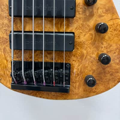 Roscoe SKB3006 Fretless Bass 2000s - Amber Burl image 8