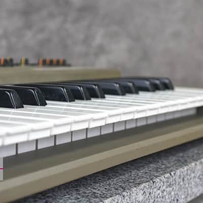 Roland SH-101 Gray Vintage Monophonic Synthesizer in Good condition image 4
