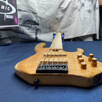 Skjold Wyvern David Dyson Signature Model #3 of 25 5-string Bass image 9