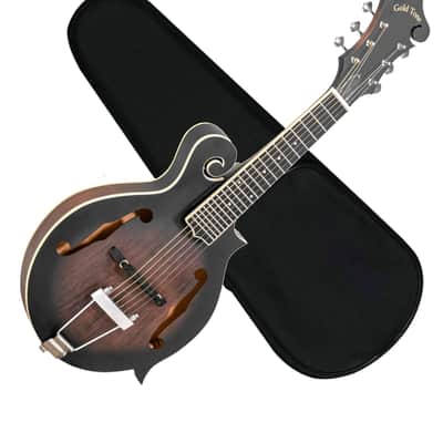 GOLD TONE F-6 F-style 6-string acoustic electric mandolin GUITAR w/ CASE new image 1