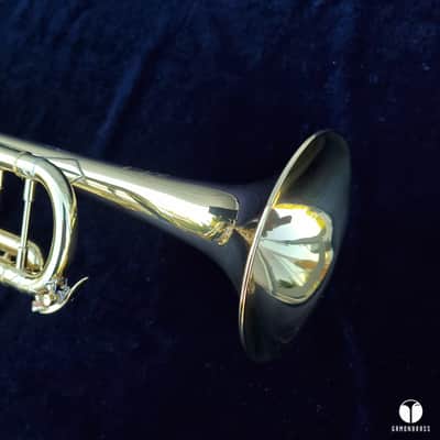 0.462 Mt Vernon Vincent Bach Stradivarius Lightweight STAR 25 trumpet case mouthpiece  gamonbrass image 9