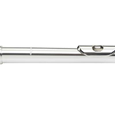 Pearl *Pre-Order* Flute Quantz 665 Series Offset-G/B-Foot/Open Hole Maintenance Kit, Case | WorldShip | Special Order | Authorized Dealer image 6