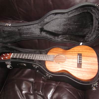 Teton TT003 Tenor Ukulele Mahogany w/ Teton Hard Case image 1
