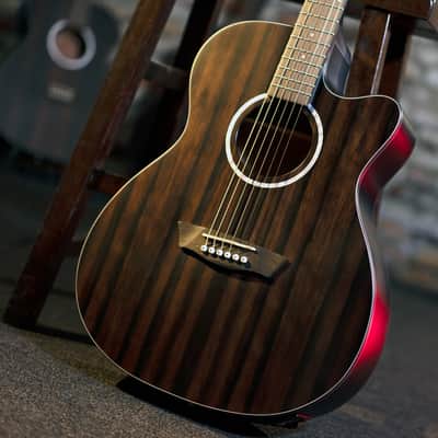 Washburn Deep Forest Ebony Ace Electro Acoustic Guitar image 2