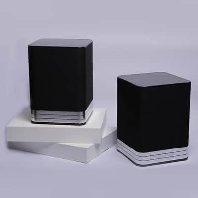 ELECTROCOMPANIET TANA SL2 - Wireless Speaker and Streamer - NEW! image 2