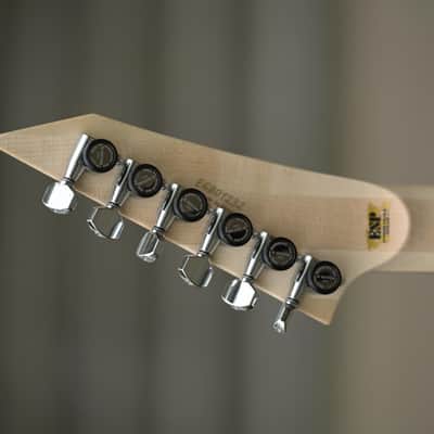 ESP Original M-II Deluxe, Floyd Rose, Rosewood - Titan Metal image 6
