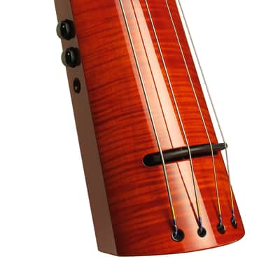 NS Design WAV4 Double Bass Amberburst image 1