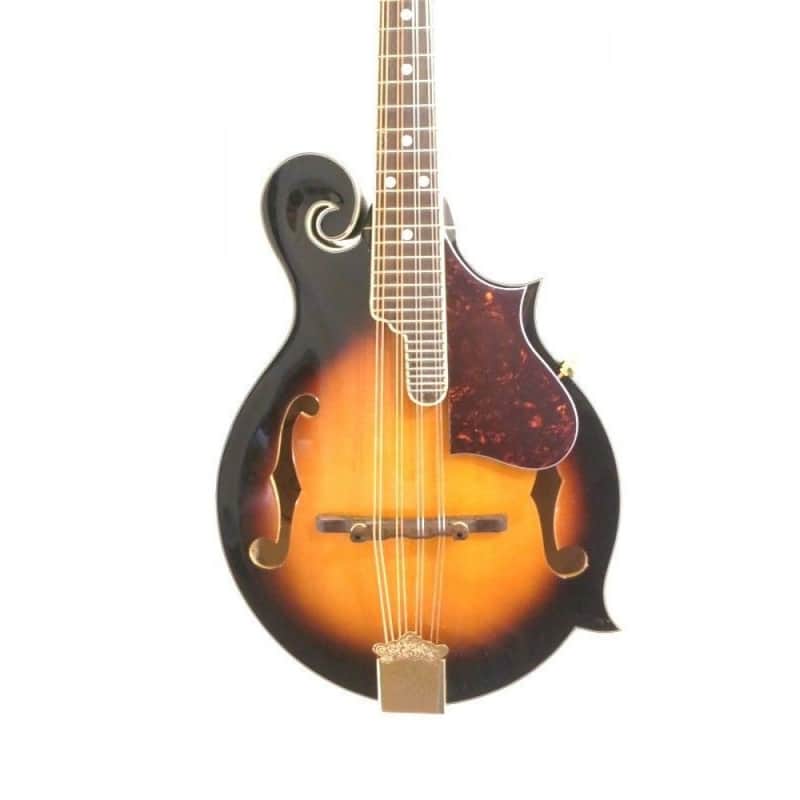 Fender FM-63S Concert Tone Mandolin | Reverb Canada