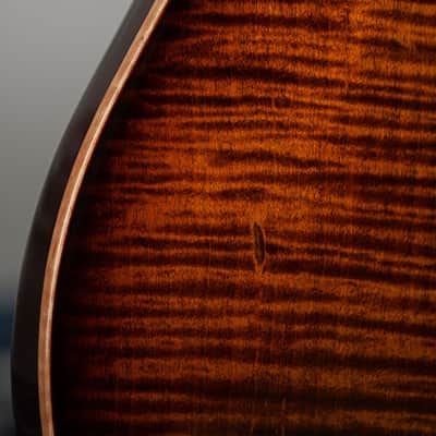 PRS Custom 22 10 Top - Black Gold image 12