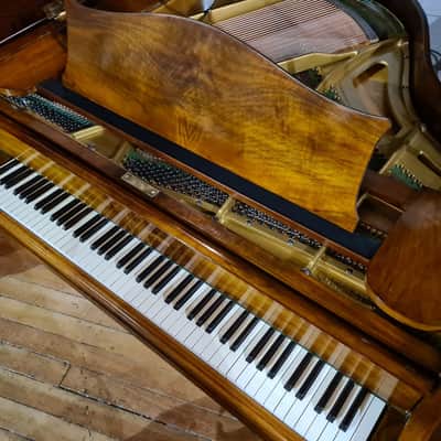 Restored Bechstein London Baby Grand Piano Walnut SP25940 - Sherwood Phoenix Pianos image 5