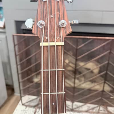 Ampeg ADA4 Dan Armstrong Bass Guitar Clear Lucite image 4
