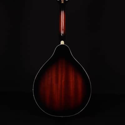 Ibanez M510E A-Style Acoustic/Electric Mandolin, Dark Violin Sunburst High Gloss image 7