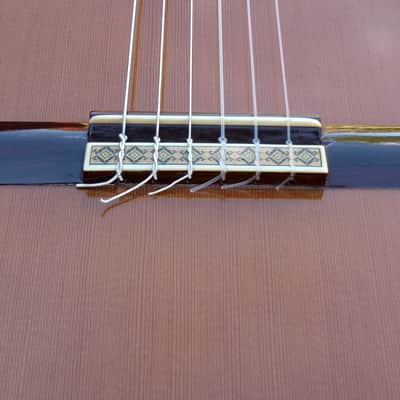 1975 Manuel G. Contreras (1st generation) Classical Guitar Calle Mayor 80, Madrid Cedar Top / Rosewood Body Original Hard Case image 21