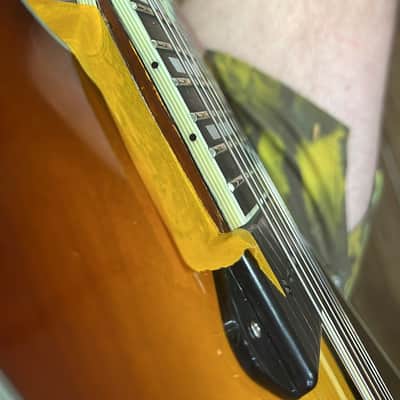 Eastman T64/v-T - Antique Goldburst B-Stock image 24