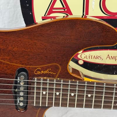 Godin Passion Series RG.2 rg2 rg-2 Guitar 2012 image 2