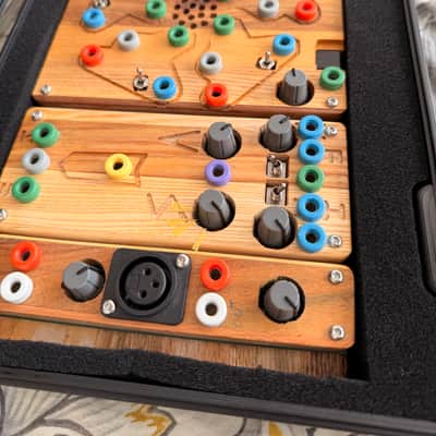 Ciat-Lonbarde Cocoquantus 2 - Wood with Case and Banana Cables image 8