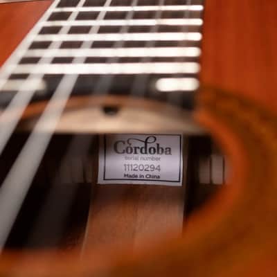 Cordoba C5 Classical Acoustic Guitar with Gig Bag - Used image 22